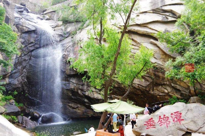 怎样用高压锅煮粽子？游戏画面